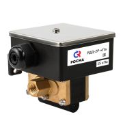 РДД-2Р-100кПа - G1/4 
Реле дифференциального давления РДД-2Р, диапазон 6..100кПа, дифференциал 5..7кПа, резьба присоединения G1/4